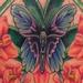 tattoo galleries/ - Butterfly and Gladiolus 